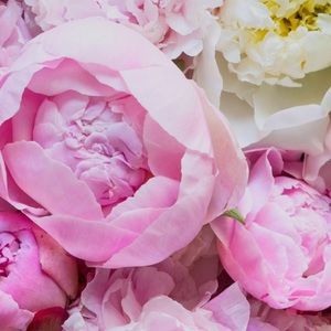 Meet your Posher, Adele